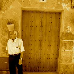 sos-vanda-photo-2